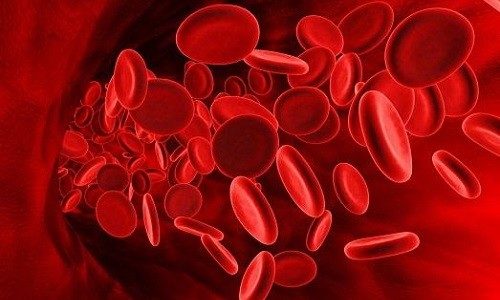 Что такое гематология крови
