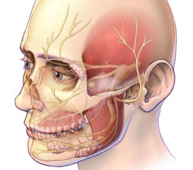 Признаки воспаления тройничного нерва головы