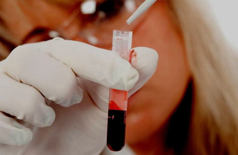 Расшифровка кровь биохимия