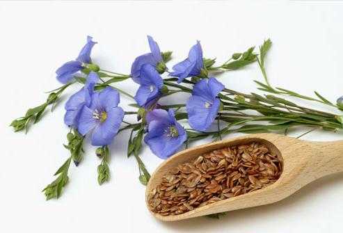 Льняное семя полезные свойства и противопоказания как принимать