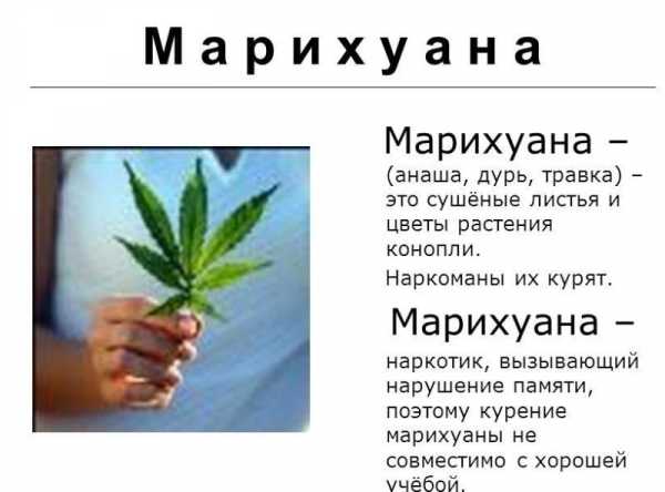 Марихуану можно курить в листья марихуаны курятся